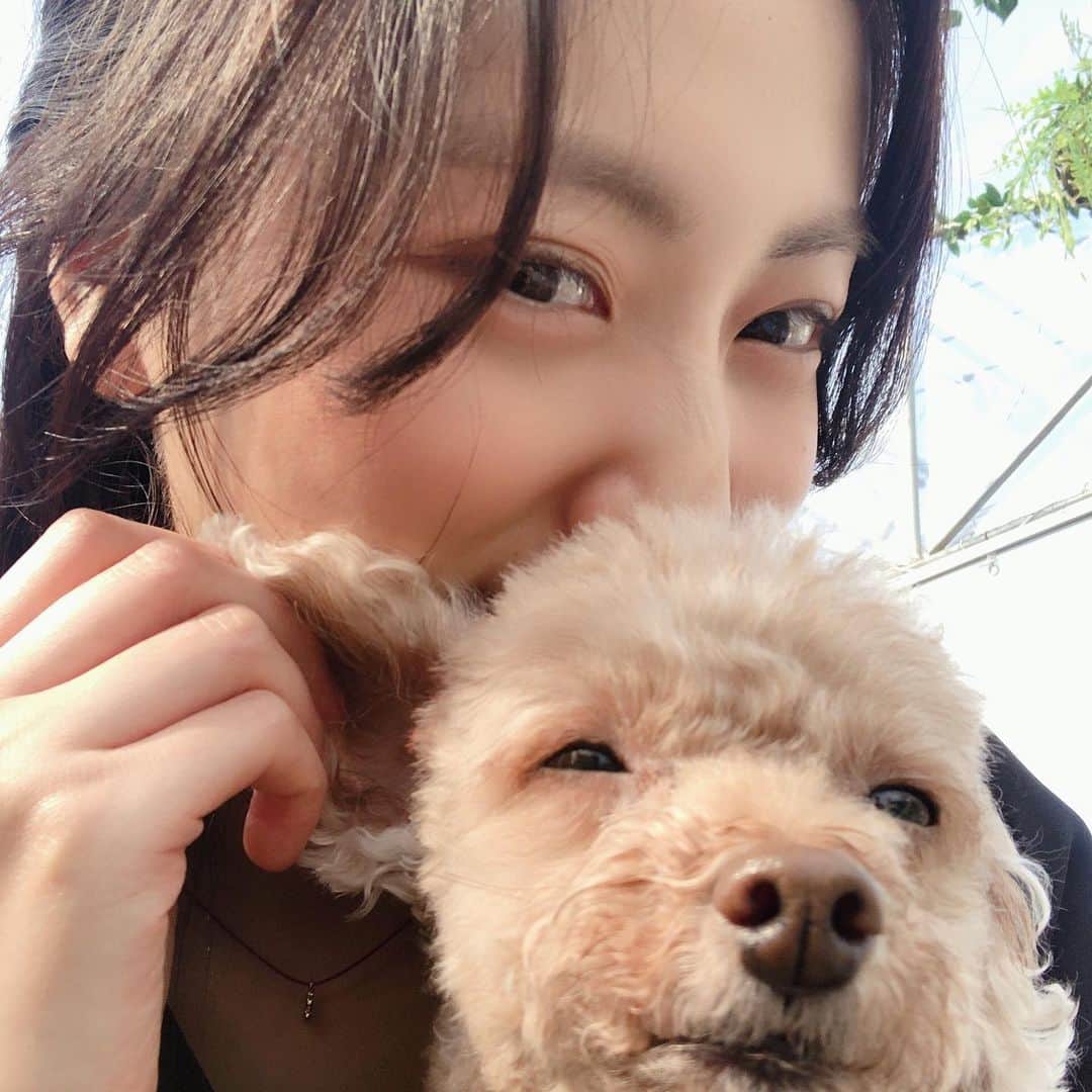 ヘリョン さんのインスタグラム写真 - (ヘリョン Instagram)「너와 사진찍고싶어 bébé 나에게 관심좀 줘 bébé」5月13日 10時18分 - haeryung_na_