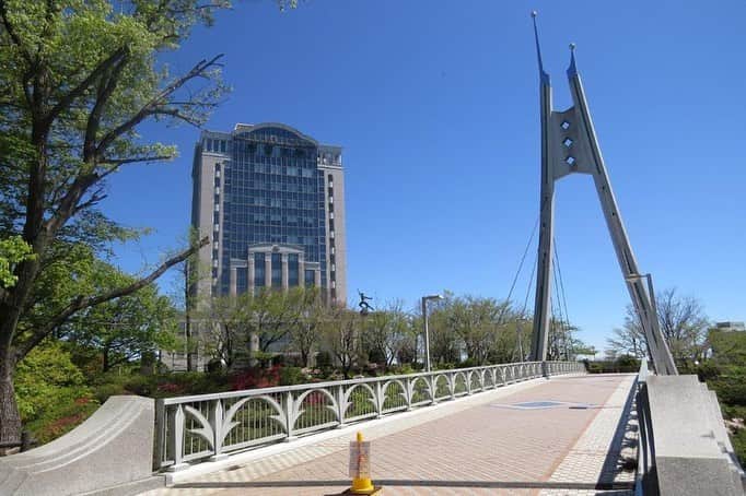 のインスタグラム：「Campus Seasonal Photos May① 丹木の歳時記　皐月① ⑴ Central tower and New century bridge・本部棟と新世紀橋 ⑵ Azalea❶・躑躅❶(ツツジ) ⑶ 躑躅❷ ⑷ Rhododendron kaempferi flower・山躑躅(ヤマツツジ) ⑸ Japanese rose・山吹(ヤマブキ) ⑹ White Japanese rose・白山吹(シロヤマブキ) ⑺ Buttercup・金鳳花(キンポウゲ ⑻ Iris japonica・著莪(シャガ) ⑼ Japanese violet・如意菫(ニョイスミレ) ⑽ Violet・菫(スミレ) #discoversoka #sodaigram #sokauniversity #hachioji #tokyo #japan #campus #university #students #nature #environment #may #spring #fourseasons #beautiful #創価大学 #八王子 #東京 #大学 #キャンパス #自然 #環境 #５月 #皐月 #春 #四季」