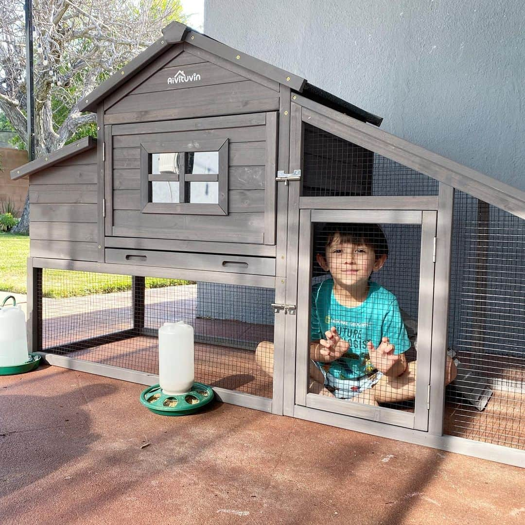 フリーディアさんのインスタグラム写真 - (フリーディアInstagram)「Just testing out the #chickencoop 👍🏼 How do I train the ladies to go upstairs?? Is there a trick?? #trainingachicken #chicken #hen #chickencoopsofinstagram  ニワトリの小屋ができました。 でもどうやって上に上がれる事を教えるのかな？？ #鶏　#鶏小屋　#鶏小屋作り」5月13日 5時40分 - friediamn