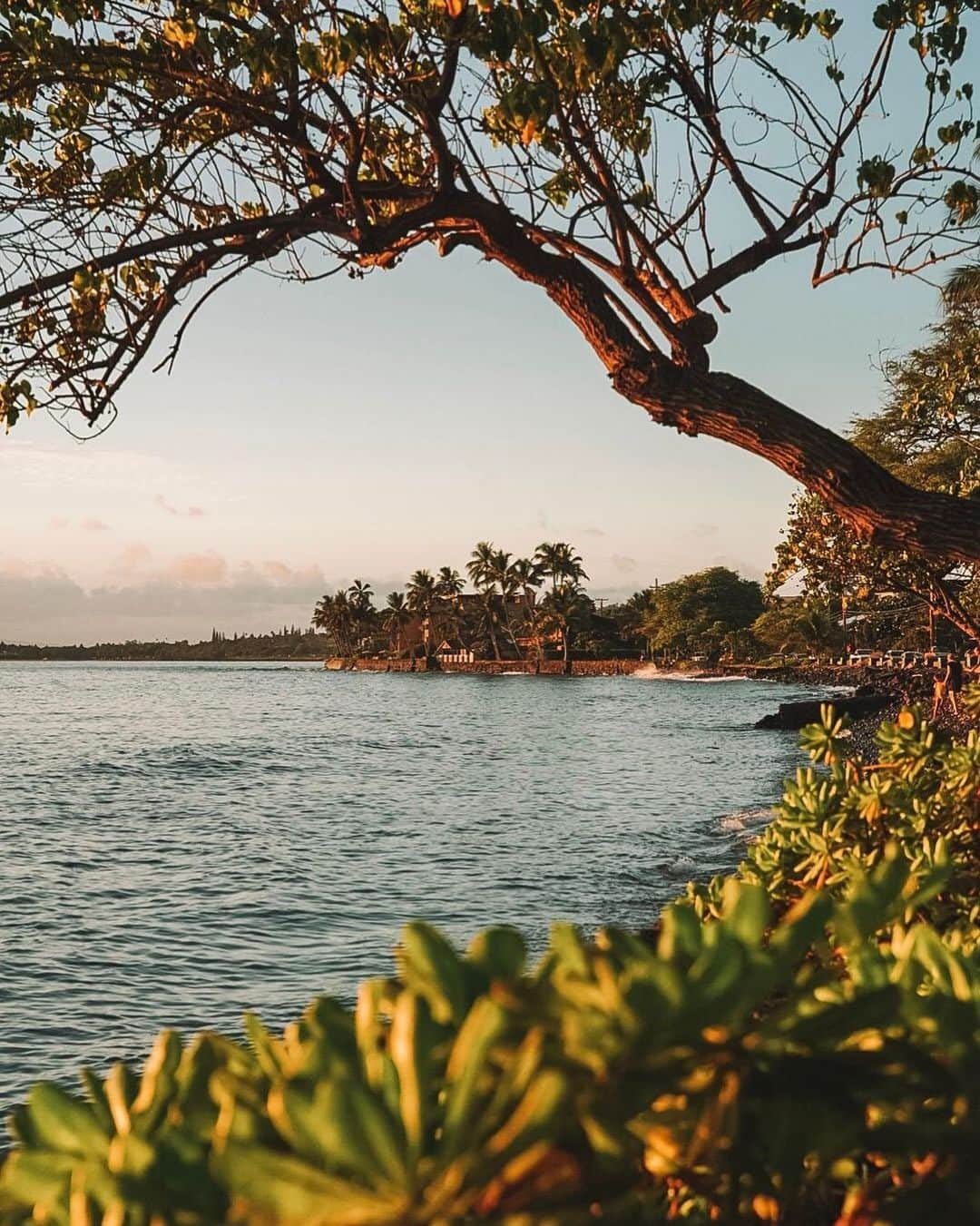 ハワイアン航空さんのインスタグラム写真 - (ハワイアン航空Instagram)「A Hawaiian phrase we've been thinking about lately is "a hui hou," which means "until we meet again." We look forward to that day – but until then, here's a sweet reminder of our beautiful Hawaiʻi. 💜 #AHuiHou⠀ ⠀ 📍 Lahaina, Maui」5月13日 6時13分 - hawaiianairlines