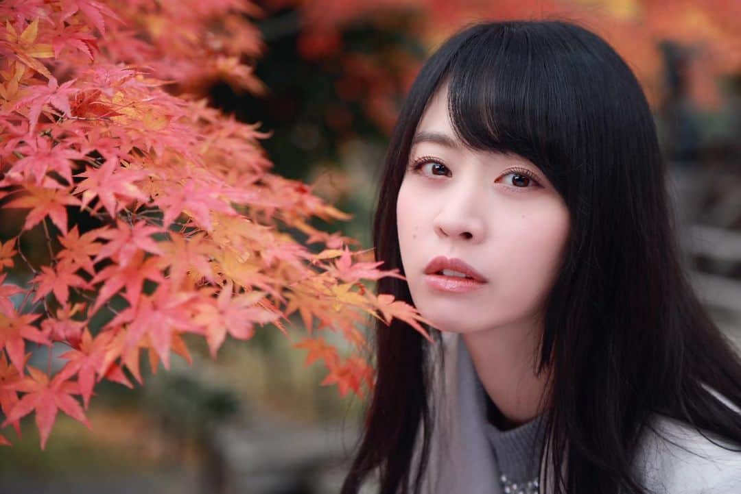 千倉里菜のインスタグラム：「皆おはようっ！☺️🍁 . . * . _ #紅葉 #京都 #ポートレート #portrait #kyoto #kyotojapan #カメラ女子 #camera #cameragirl #goodmorning #おはよう」
