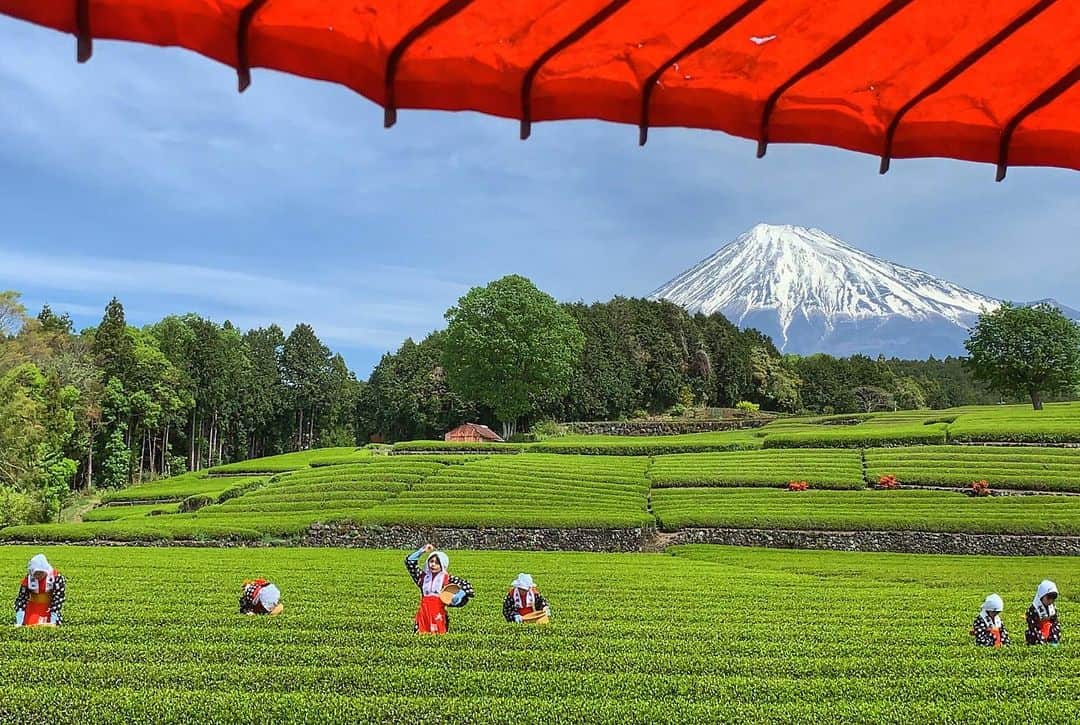 phantastic420のインスタグラム：「. 🤩🤩“Shizuoka” prefecture in Japan is a place where you can see the most “phantastic” Mt. Fuji🗻 in the world.🤩 #富士山 #mtfuji #japan #shizuoka #fuji  #phantastic420photography #mostphantasticmtfuji #selamatpagi  #goodmorning  #おはようございます 😇😷😇😷😇😇😇🗻😇😇😷😇 大好きな構図です🤣」