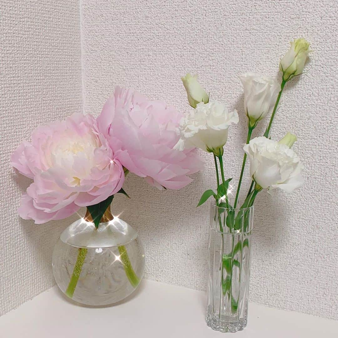 斉藤麻衣のインスタグラム：「トルコキキョウ🌷 。 。 。 。 。 #本日のお花 #新入りちゃん #トルコキキョウ #ピンクと白 #お花のある生活」