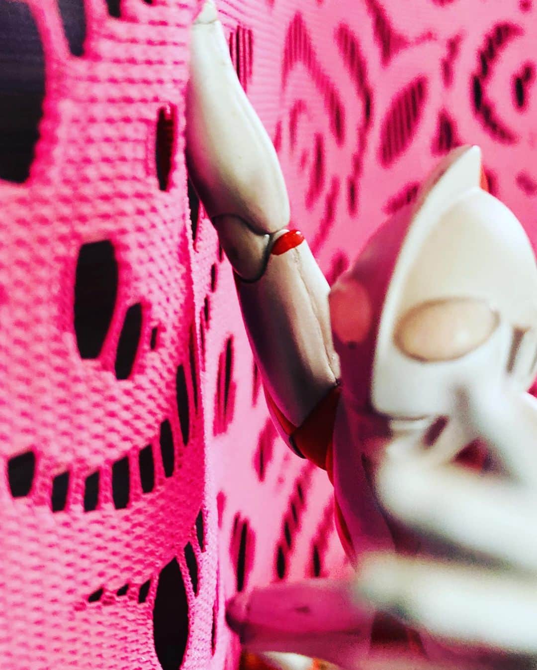 緒月遠麻さんのインスタグラム写真 - (緒月遠麻Instagram)「☺︎ 夏の暖簾買いました☀️ ただただ 不思議と 昭和感香り立つ マイルームになりました🤎🏠🤎笑 #薔薇暖簾 #かわいい」5月13日 17時56分 - toma_ozuki
