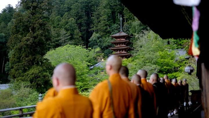 奈良 長谷寺 / nara hasederaのグルメインスタ