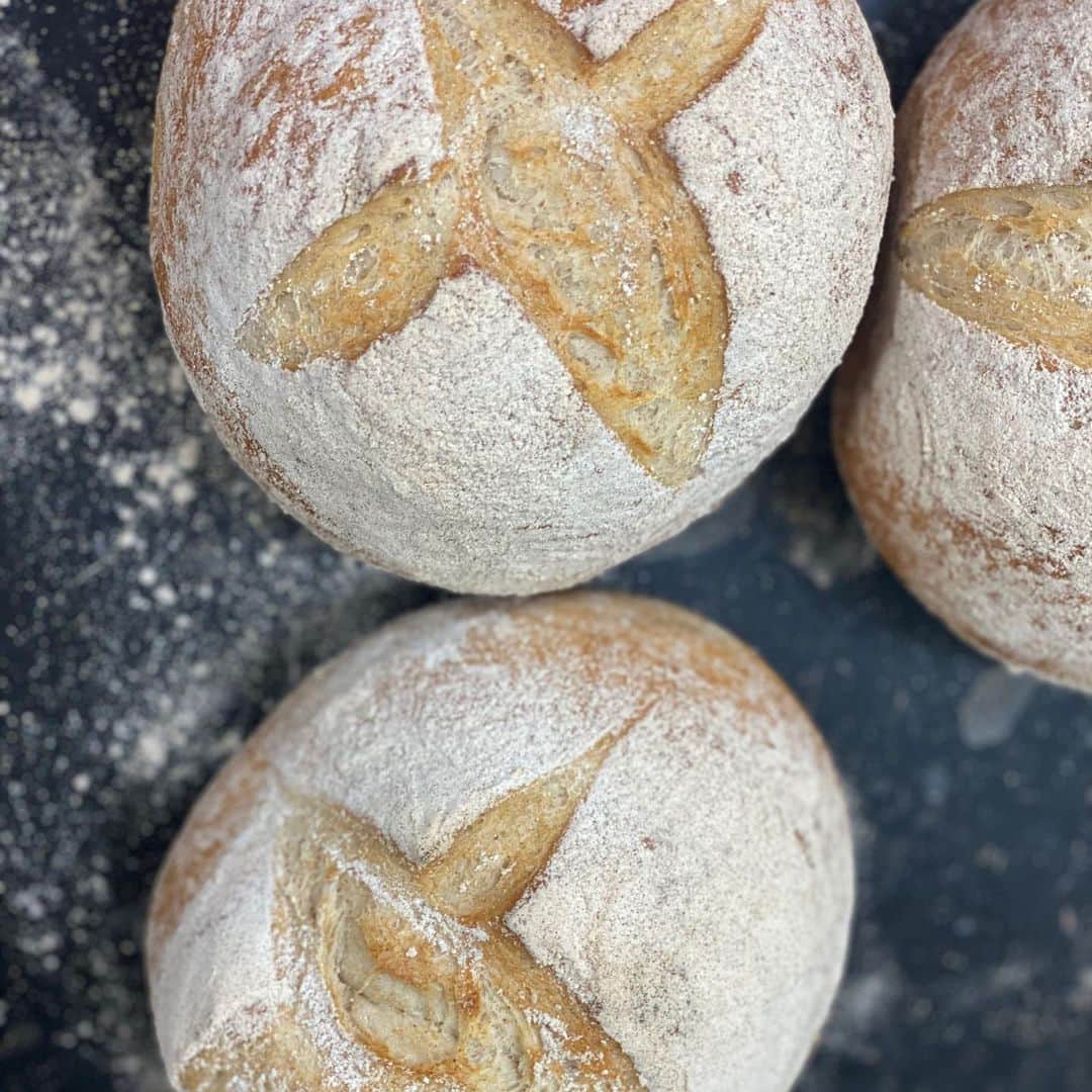 魔女菅原のグルメインスタ