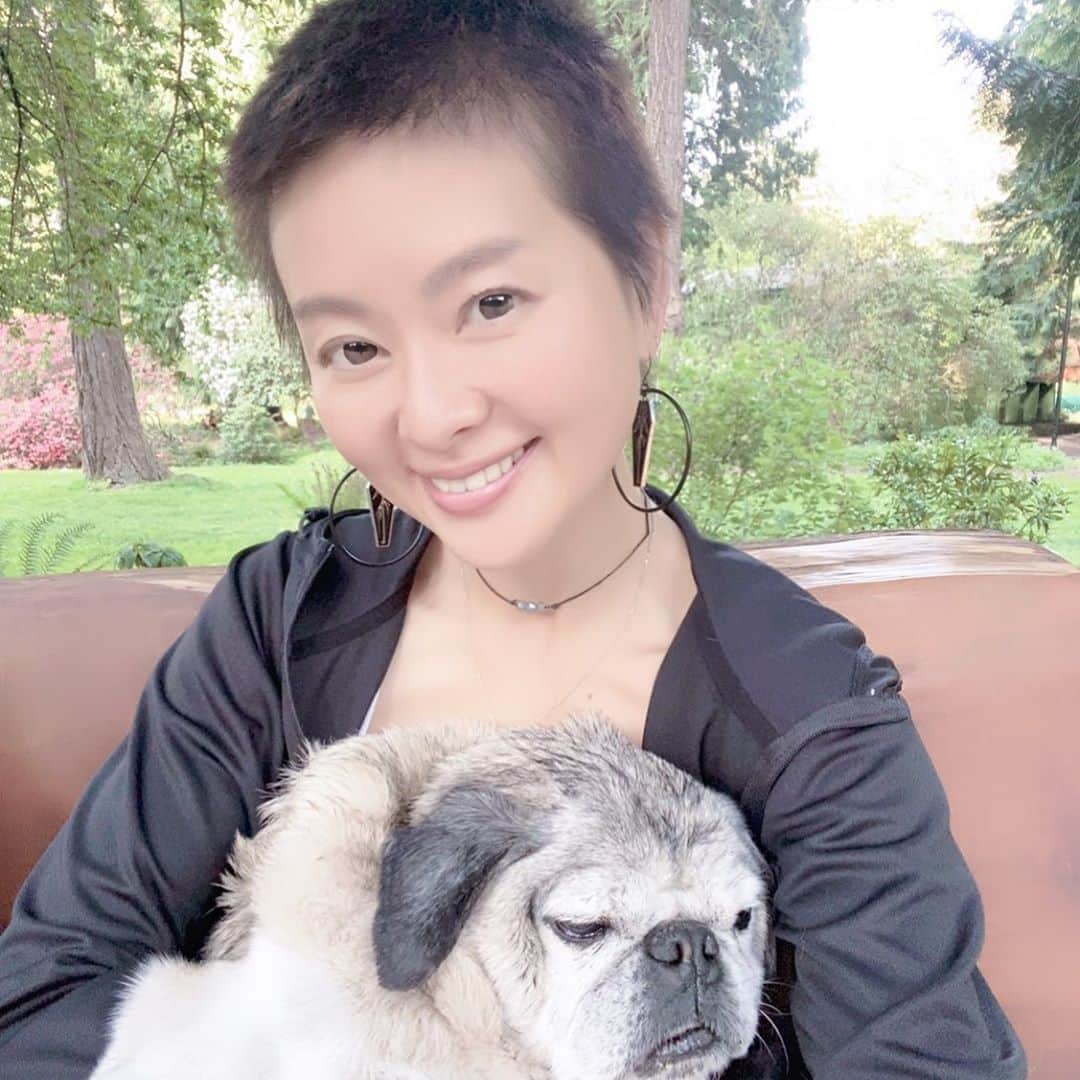 吉野紗香さんのインスタグラム写真 - (吉野紗香Instagram)「My hair grew a little😊💕✨髪の毛ちょっとだけ伸びました🤗💖✨#veryshorthair #muffin #pug ベリーショートヘア　#バズカット #ちょっと　#伸びました　#マフィン　#パグ」5月13日 11時18分 - sayakayoshino_official