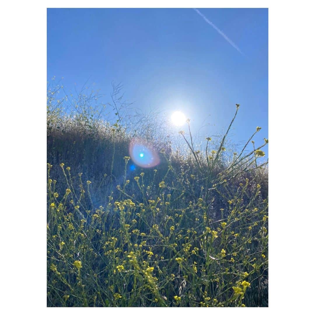 シャンテル・ヴァンサンテンのインスタグラム：「Outdoor hike in nature.... much needed to ground my heart and free my spirit. #DeepBreaths」