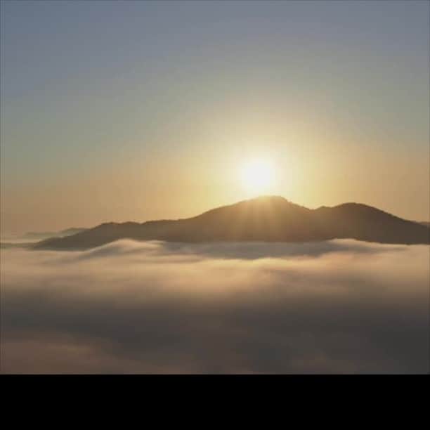 The St. Regis Osakaのグルメインスタ