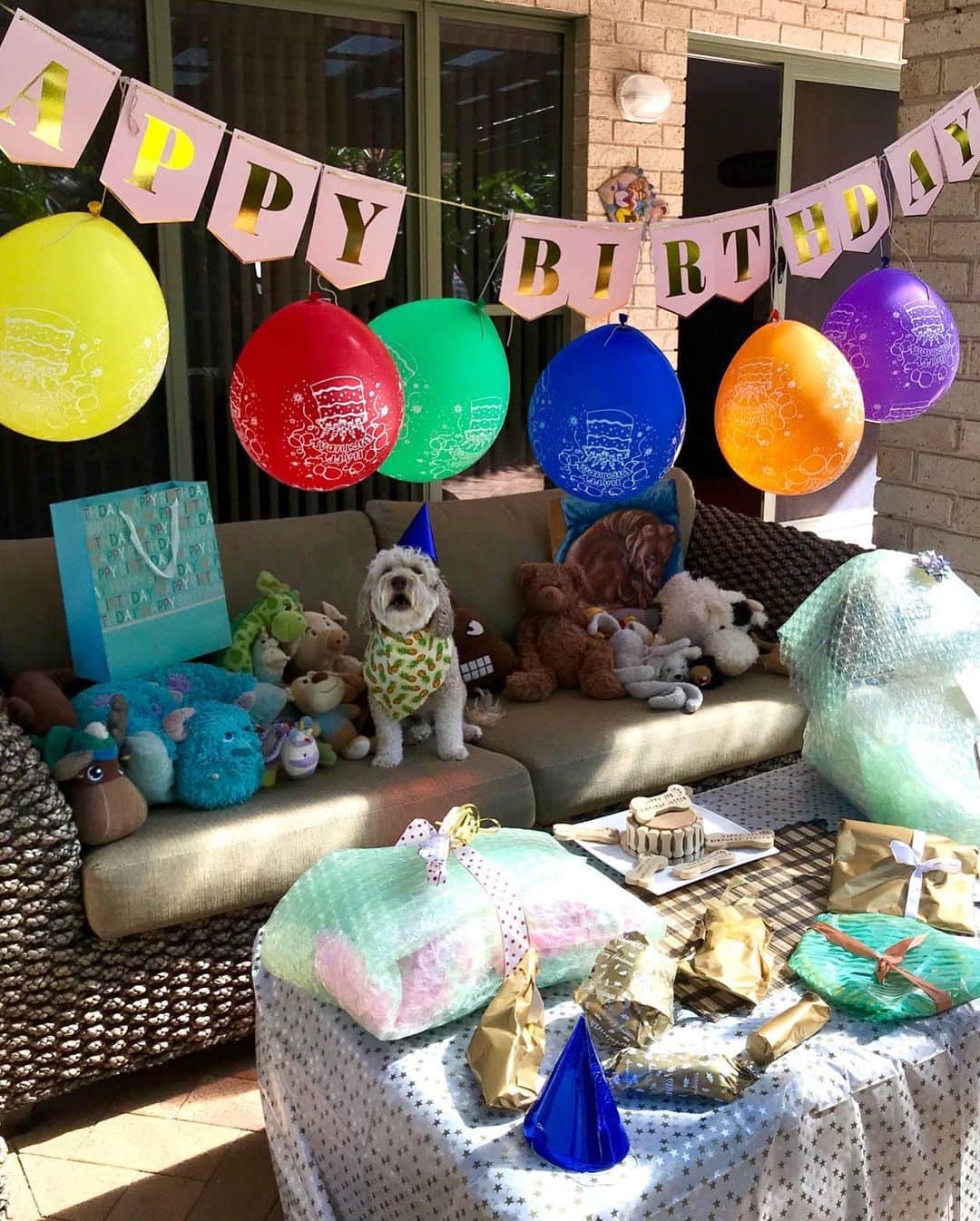 シャーニ・ヴィンソンのインスタグラム：「Happy 3rd Birthday Jagger! @jaggerpoo 🐶 🎈 🎁 🐾 🎉 🍰 🦴 🧁 🧸💙 Thank you @noosadogcakes for making his day extra special! 🎂 #dogslife #cake #presents #party #toys #happybirthday #dogmom #dogoftheday #dogstagram」