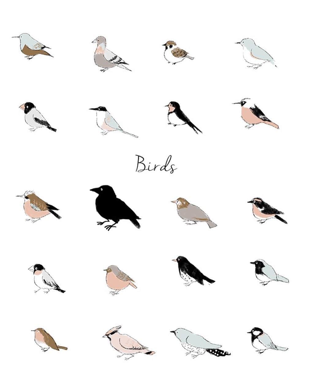 momoroさんのインスタグラム写真 - (momoroInstagram)「#愛鳥週間  #bird#鳥#illustration #momoro#ももろ#イラスト」5月13日 12時24分 - momoro6666