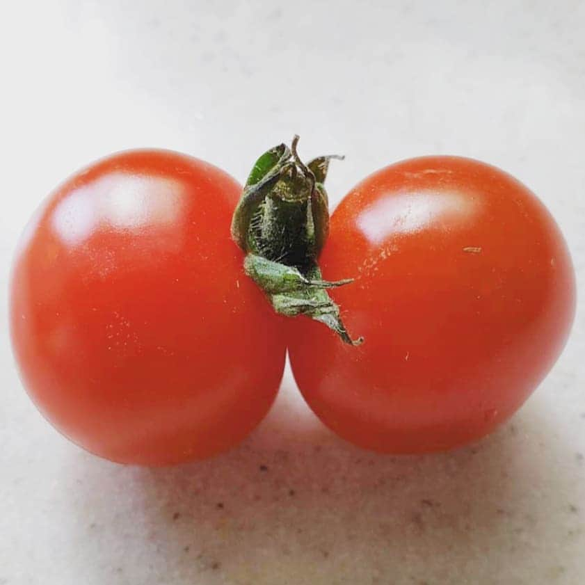 高橋あゆみのインスタグラム：「｡ 双子 #トマト 発見🍅  初めて見た👀 可愛い✨  #stayhome #おうち時間」