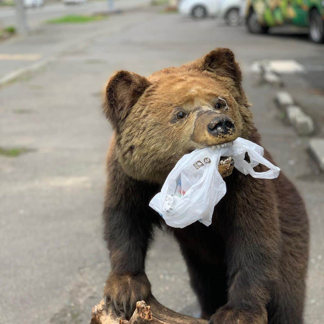 メロン熊【公式】のインスタグラム：「メロン熊財団【ゴミ捨てやめて】  #ゴミ捨て #環境問題  #間接的な餌付けになる #ポイ捨て禁止  #ひぐま #メロン熊  #ゆるキャラ  #北海道 #夕張」