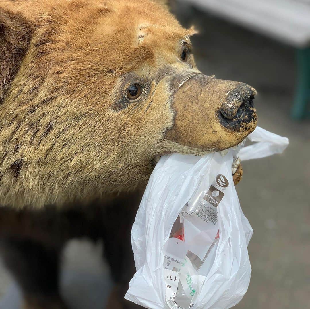 メロン熊【公式】さんのインスタグラム写真 - (メロン熊【公式】Instagram)「メロン熊財団【ゴミ捨てやめて】  #ゴミ捨て #環境問題  #間接的な餌付けになる #ポイ捨て禁止  #ひぐま #メロン熊  #ゆるキャラ  #北海道 #夕張」5月13日 12時49分 - yubarimelonkuma