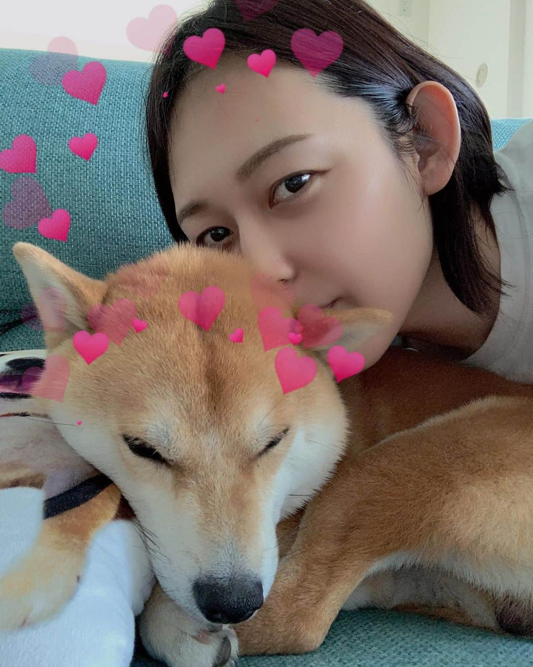 大山加奈さんのインスタグラム写真 - (大山加奈Instagram)「. .  今日は #愛犬の日 ということで無理矢理ツーショット💓 . . 迷惑そうなだいずくん笑。 . . 昨日の夕散歩は 👨と行っただいずくん。 いつもと様子が違うとみんなに 言われたそうです。 きっといつもはママを守らなきゃって 思ってるんだねと。  気持ちはうれしいけど… 吠えないでいてくれたほうが うれしいよー😂 . . . #だいず #だいず🐕💓 #豆柴 #豆柴部  #柴犬 #しばいぬ  #犬のいる暮らし#🐶 #🐕#いぬすたぐらむ #ワンスタグラム #しばすたぐらむ #mameshiba#shibainu#shibastagram #柴犬好きさんと繋がりたい #柴犬のいる暮らし #柴犬ライフ#愛犬の日🐶」5月13日 13時17分 - kanaoyama0619