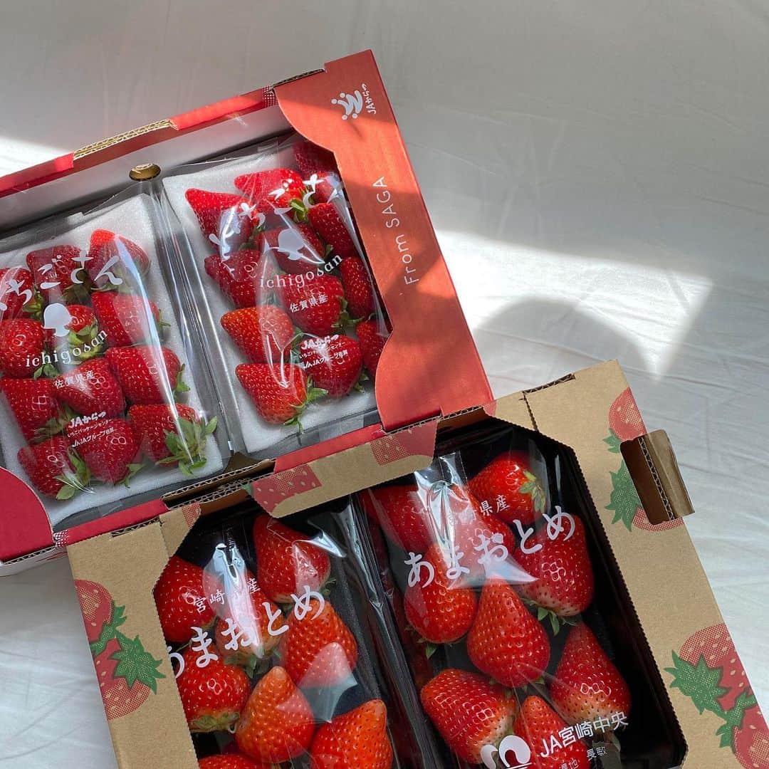 のインスタグラム：「1パック198円 ありがたや〜ありがたや〜🍓🍓🍓🍓🍓🍓🍓🍓🍓🍓🍓🍓🍓🍓 #いちご大好き芸人」