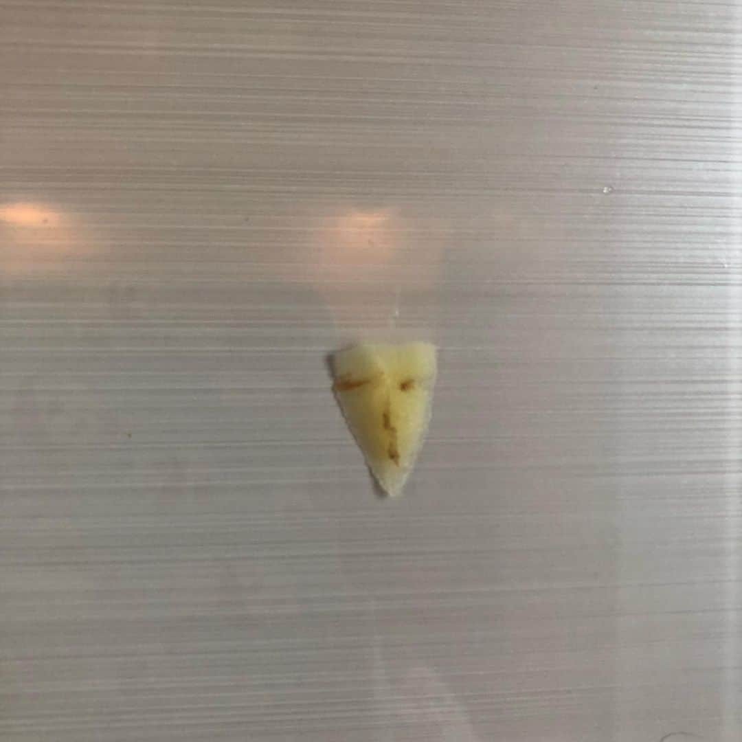 島田珠代のインスタグラム：「一昨日、肉じゃがつくったんです。じゃがいもの皮の剥き残しがあって直径8ミリくらいの茶色のとこ剥いたら顔になってました。とりあえず冷蔵庫に貼って。激写！ちょっとこわめ。」