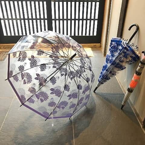 ヴィレッジヴァンガードオンラインストアさんのインスタグラム写真 - (ヴィレッジヴァンガードオンラインストアInstagram)「そろそろ梅雨入り... 雨の日、落ち気味の気持ちをあげてくれそうなステキな傘、再入荷してます！！ 紫陽花柄がいいですね〜！ 和装との相性も◎  #傘 #かさ #紫陽花 #アジサイ #あじさい」5月13日 13時49分 - village_vanguard