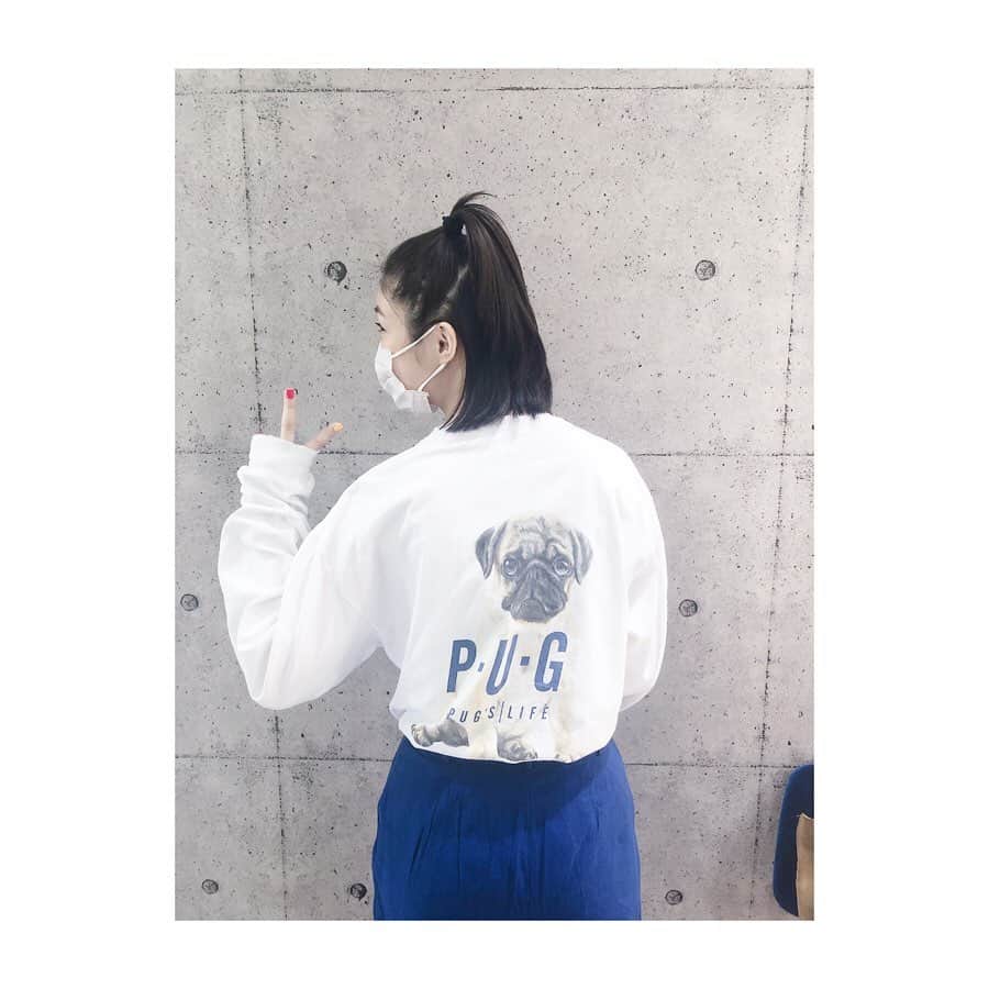 加村真美のインスタグラム：「P・U・G  #愛犬の日 #リモートお仕事」