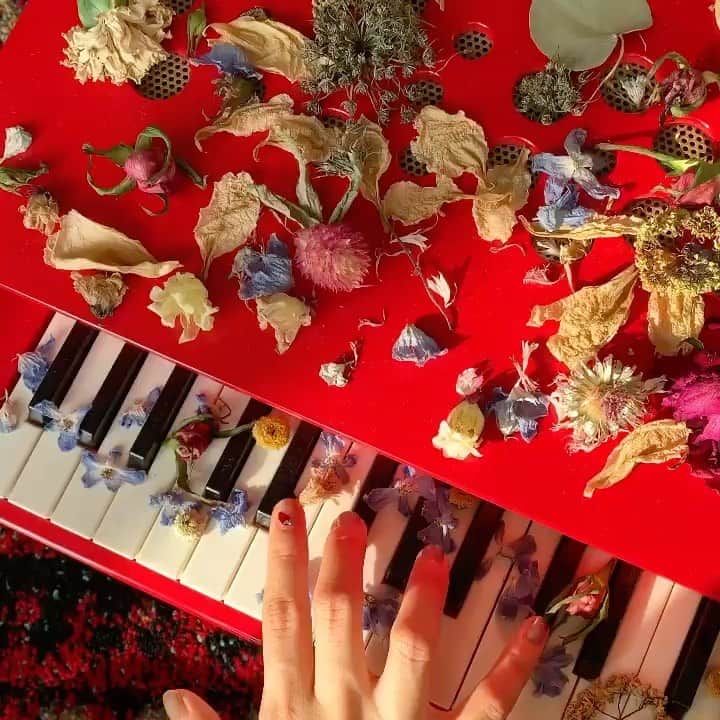 杉咲花のインスタグラム：「🎹🏵」