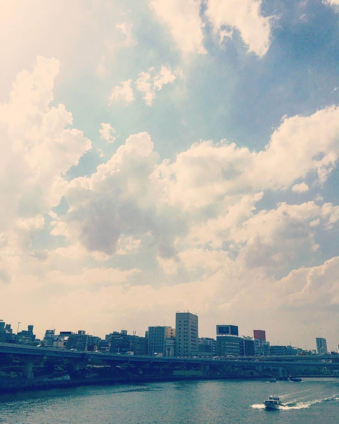 猫沢エミさんのインスタグラム写真 - (猫沢エミInstagram)「6日ぶりにお向かいのスーパー以外の外に出た。  たぶん日本列島がどんぶらこ南に流れたんだと思う。  そこは、まったき夏でした。  生き還る〜✨ #東京下町時間　#猫以外の写真😂」5月13日 15時24分 - necozawaemi