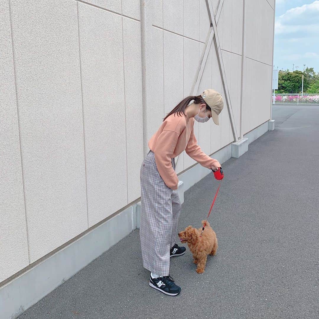 佐久間乃愛さんのインスタグラム写真 - (佐久間乃愛Instagram)「. 初めてのお散歩🐾 近所を少しだけ歩いたよ♪ 最初おすわりしちゃったけど、その後は猛ダッシュだった🤣  #愛犬 #子犬 #トイプードル」5月13日 16時40分 - noa_sakuma