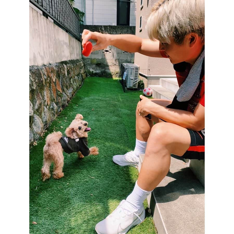 山中亮輔さんのインスタグラム写真 - (山中亮輔Instagram)「今日は愛犬の日みたいですね🐶 ぷぅちゃんいつも癒しをありがとう^ ^  #愛犬の日  #トイプードル  #toypoodle」5月13日 17時11分 - yamanaka_ryosuke24