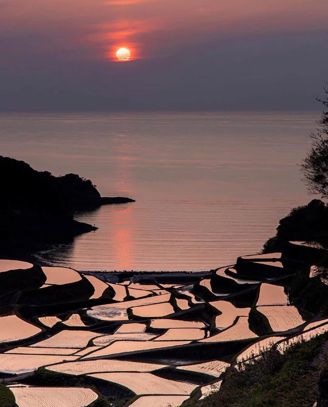 aumoさんのインスタグラム写真 - (aumoInstagram)「. 佐賀県の「#浜野浦の棚田 」にて撮影されたお写真📷. 夕陽とのコラボレーションがとても素敵です。まさに、九州の絶景😌✨ . Credit：@bashi_x さん 素敵なお写真をありがとうございます！ . あなたが撮影した素敵な写真に 「#aumo」を付けて教えてください♡ あなたの投稿が明日紹介されるかも♪ . aumoアプリは毎日配信！おでかけや最新グルメなどaumo読者が気になる情報が満載♡ ダウンロードはプロフィールのURLから✔︎ (iPhone&Android版) . . #佐賀#佐賀観光#浜野浦の棚田#旅行#絶景#自然#インスタ探検隊 #女子旅#絶景#旅#team_jp_ #igersjp #japan_daytime_view #wu_japan  #bestjapanpics #japan_of_insta #art_of_japan_ #ptk_japan #photo_jpn #lovers_nippon #tokyocameraclub #あなたとみたい景色#フォトジェニック」5月13日 17時17分 - aumo.jp