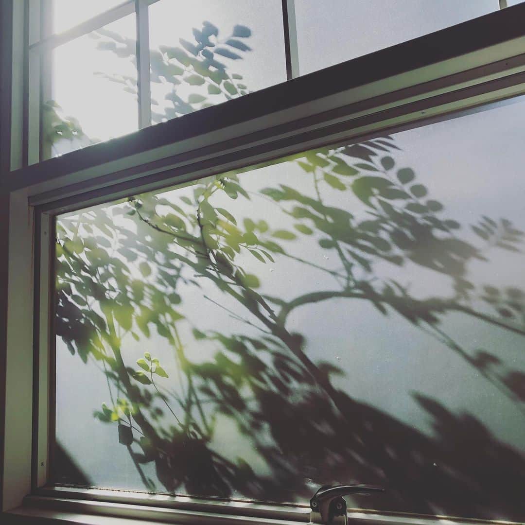 のインスタグラム：「部屋からでも感じられる季節の移ろい。 ゆっくりと流れる#おうち時間 を。 《STAY HOME & SHOP ONLINE》 大切な人の命を守るため、自宅で過ごそう。 オンラインストアでは送料無料サービスを行なっております。 ・ ・ #stayhomeandshoponline  #jewelry #ジュエリー #スタージュエリーガール #STARJEWELRYGirl  #lumine #ルミネ #ヒカリエ」