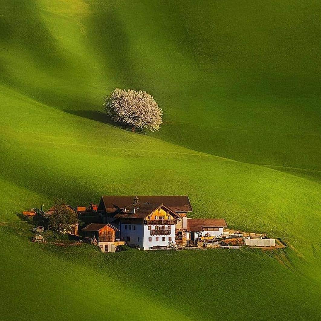 wonderful natureのインスタグラム：「Photo by @dino_marsango_photography check out his feed for more」