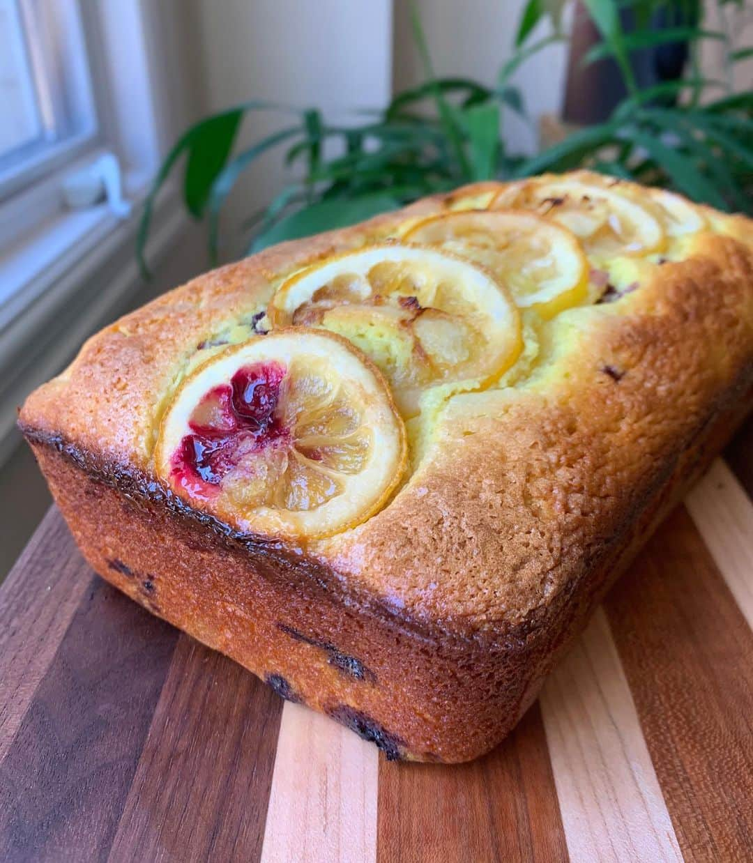 キャシー・ケリーさんのインスタグラム写真 - (キャシー・ケリーInstagram)「when life hands you lemons, bake them into carbs 🍋  last week i did not expect to be in colorado, but my mom needed surgery so one 15 hour drive straight from LA later, here we are! mama k loves her some lemon bread, so i’ve been testing out a lemon, turmeric & blueberry loaf (baking at altitude is a doozy) for whenever i’m allowed to break her out of the hospital and take her home」5月14日 3時15分 - cathykelley