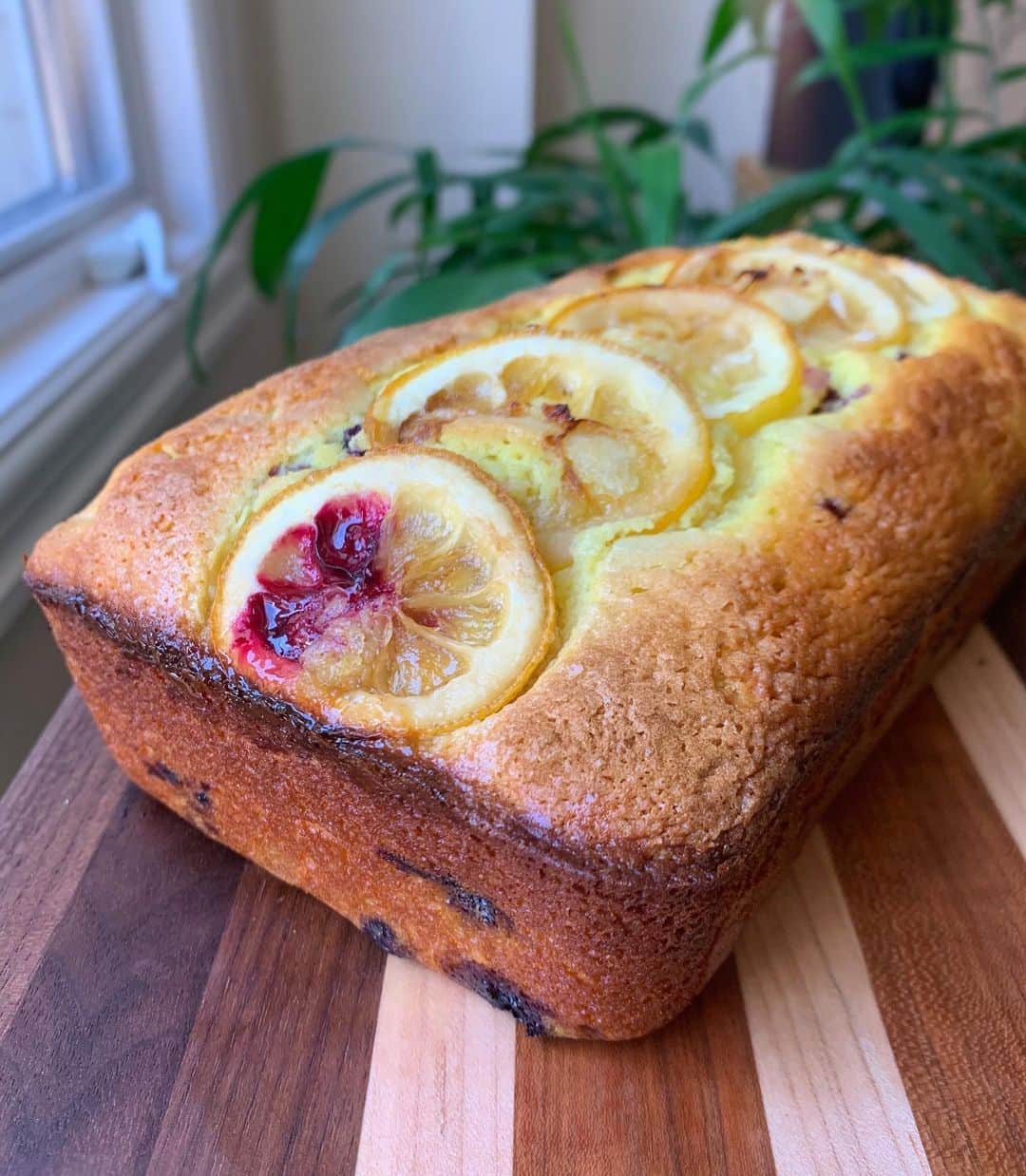 キャシー・ケリーのインスタグラム：「when life hands you lemons, bake them into carbs 🍋  last week i did not expect to be in colorado, but my mom needed surgery so one 15 hour drive straight from LA later, here we are! mama k loves her some lemon bread, so i’ve been testing out a lemon, turmeric & blueberry loaf (baking at altitude is a doozy) for whenever i’m allowed to break her out of the hospital and take her home」