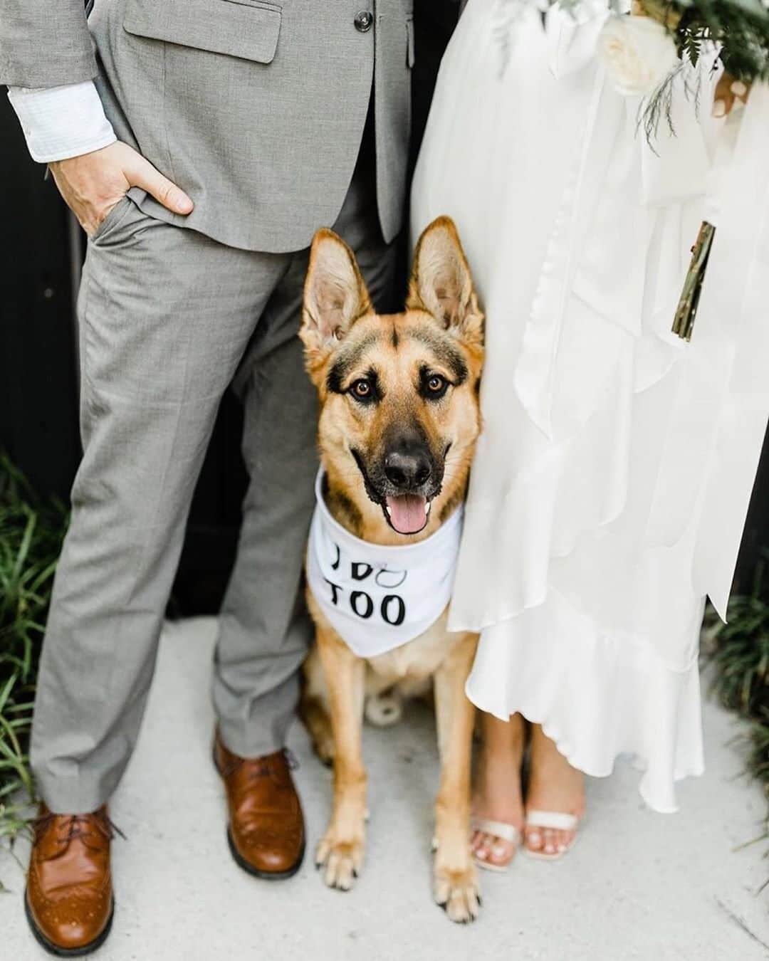 のインスタグラム：「Favorite child. Knows it. 📷 @stephanieaxtellphotovideo via @weddingwire 👰 @martikstewart 🤵@adstewa」