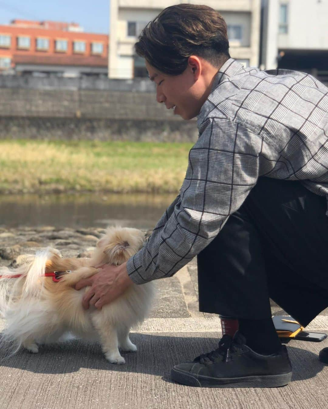 幸野志有人さんのインスタグラム写真 - (幸野志有人Instagram)「いつも癒しをありがとう😊 愛してるぞ🥰🥰 #愛犬の日 #ポメラニアン #しじみ #生意気だけど #世界一かわいい」5月13日 19時47分 - shoot_kohno