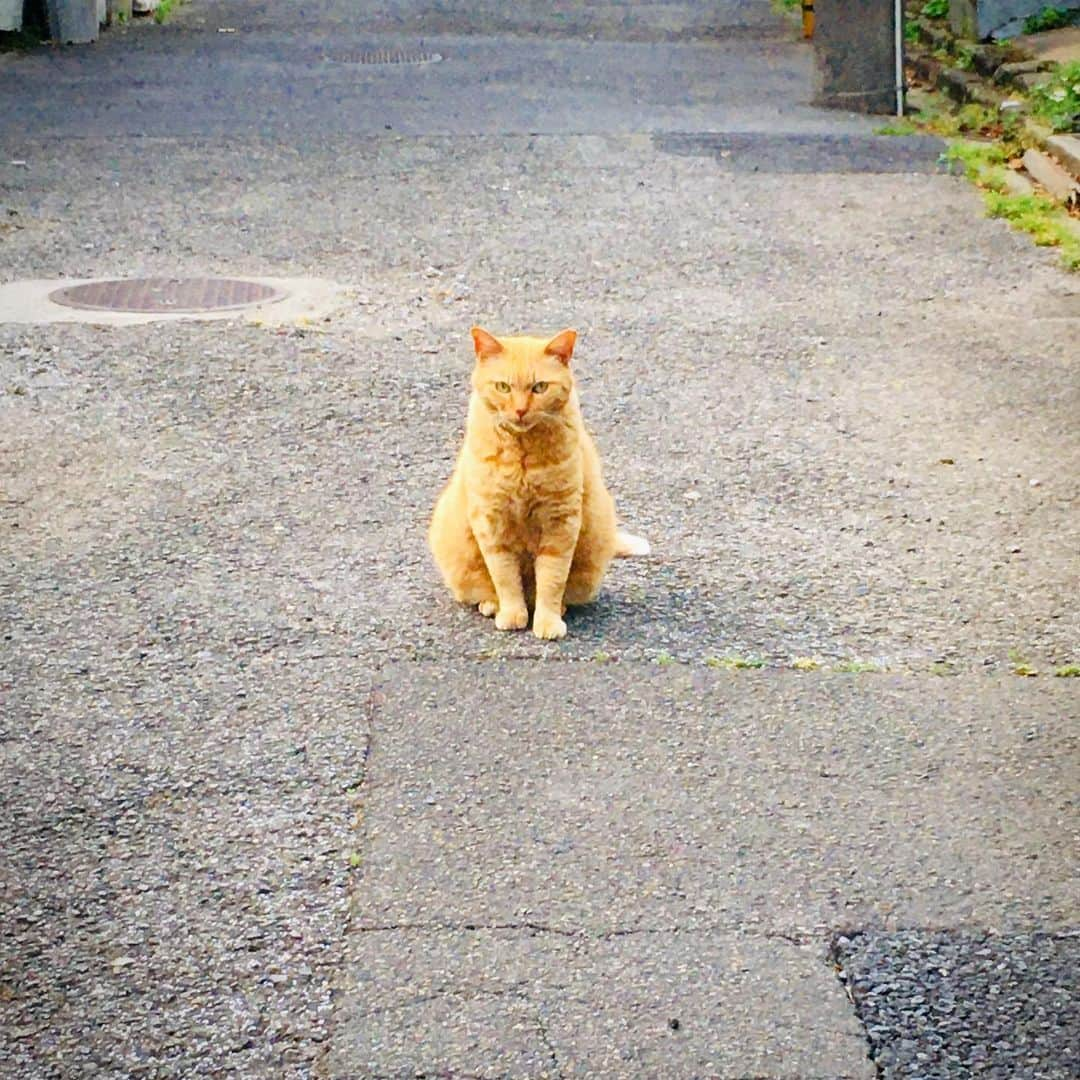 田中香子のインスタグラム