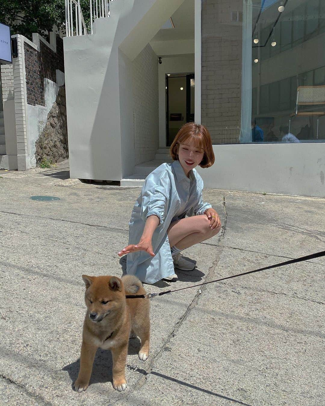 ディニさんのインスタグラム写真 - (ディニInstagram)「가지마... 🐕」5月13日 20時18分 - keemdani