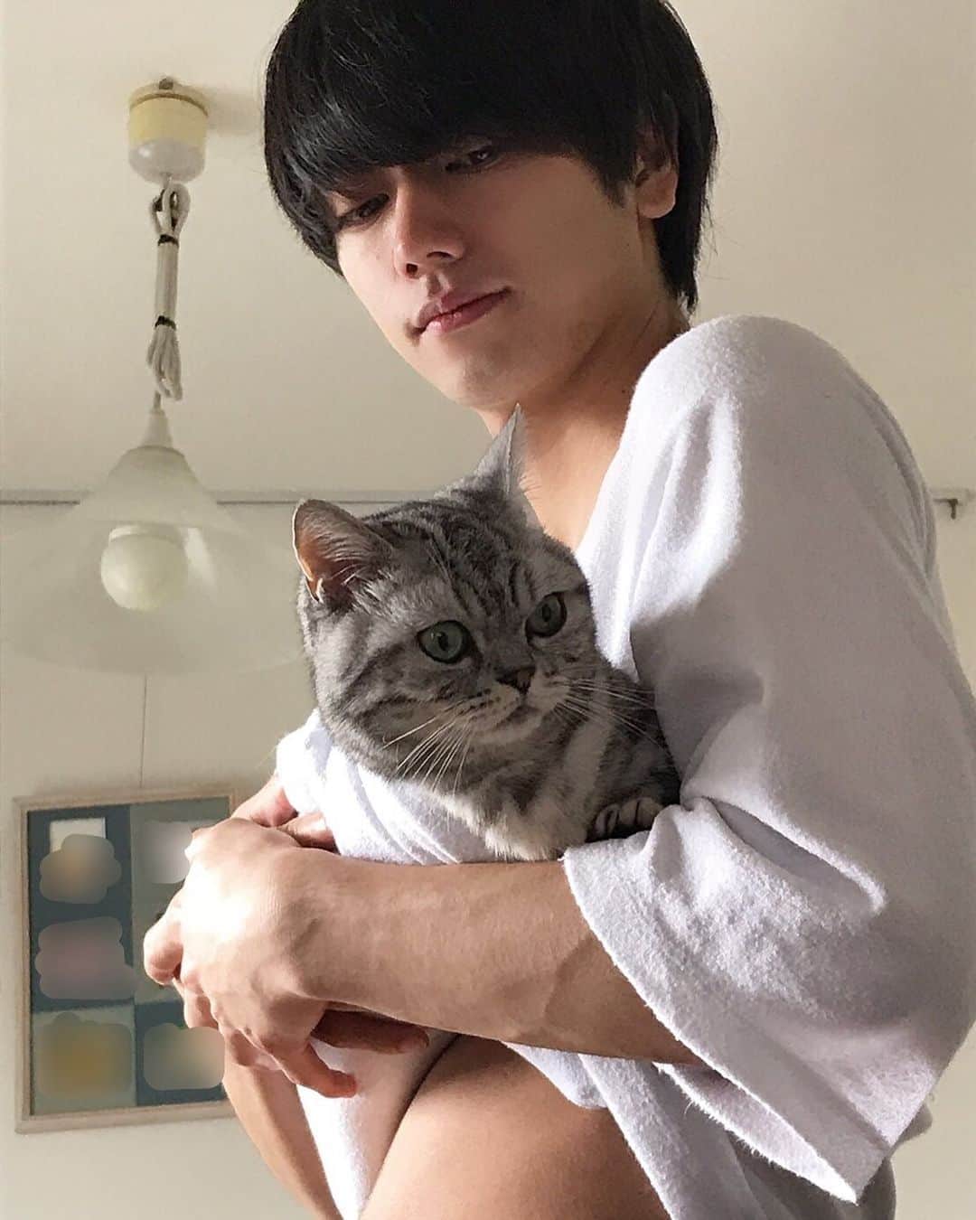 一ノ瀬竜さんのインスタグラム写真 - (一ノ瀬竜Instagram)「Tシャツに猫を包めると大人しくなります🐈 代わりにお腹が出ます☺️」5月13日 20時32分 - ryu_ichinose