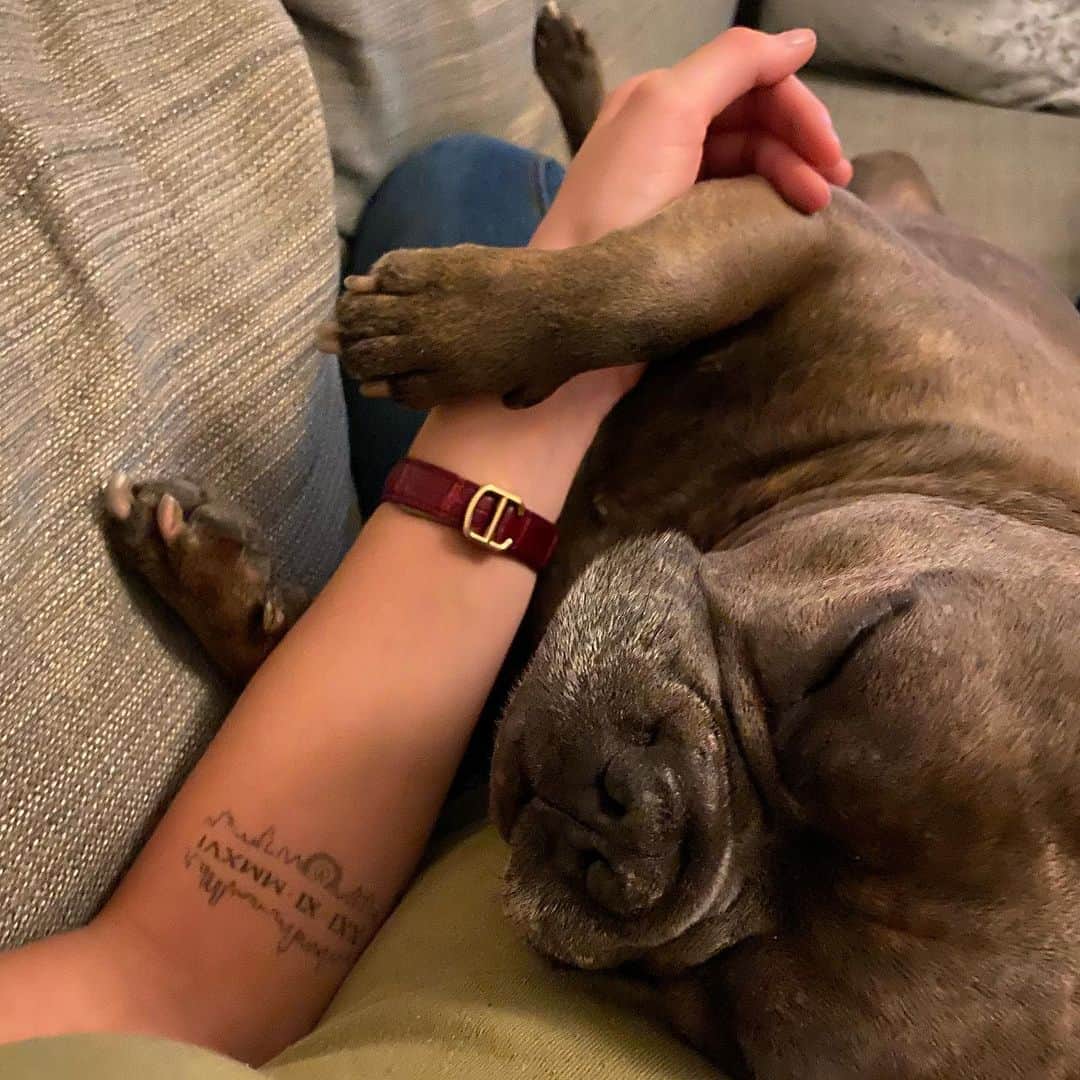 カヤ・スコデラリオのインスタグラム：「He’s going grey in lockdown... ❤️🙈」