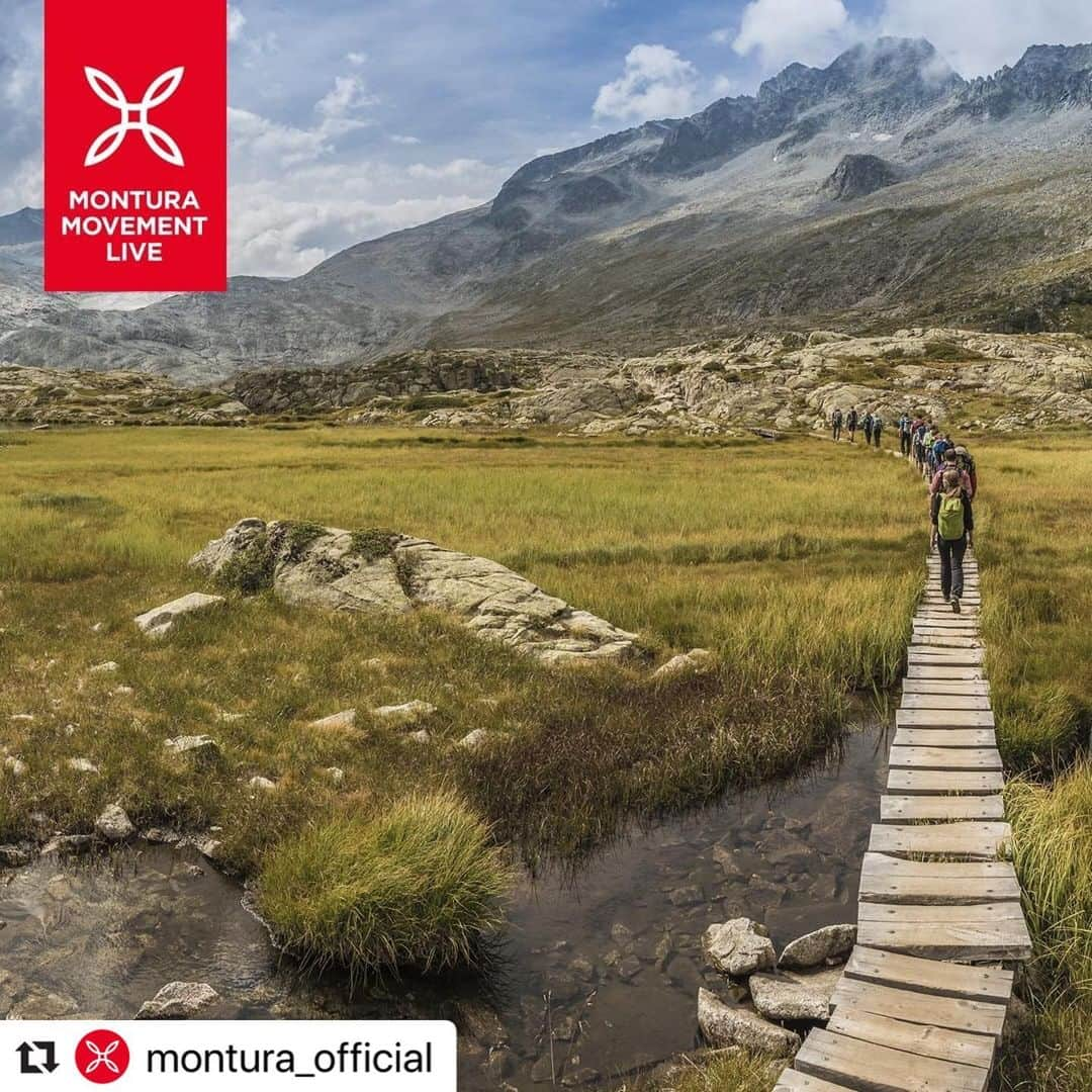 Montura-Japan searching a new wayさんのインスタグラム写真 - (Montura-Japan searching a new wayInstagram)「#Repost @montura_official with @make_repost ・・・ Tornare in movimento? Sì, ma come? Venerdì 15 alle 17.30 il presidente del @club_alpino_italiano Vincenzo Torti sarà ospite del #MonturaMovementLive, pronto a illustrare le nuove modalità dell'andare a piedi. Già ospite dello streaming di @stazione_radio il 3 maggio, il presidente del Club Alpino Italiano risponderà alle nostre domande sulle nuove disposizioni per la vita all’aria aperta, per nulla esente dai rischi legati al #Covid19. Al nostro @sercaramel di @arkanoesailingteam il compito di approfondire le novità in fatto di vela. Appuntamento sulla pagina Facebook.com/montura, zaino in spalla per il pieno di informazioni!  #searchinganewway #MonturaMovement #outdoor #trekking #cammino #vela #ariaaperta #navigare #yachting #distanziamentosociale #distanziamentoresponsabile #fase2 📸 @giampaolocalza 🙏🏻」5月13日 20時53分 - monturajapan