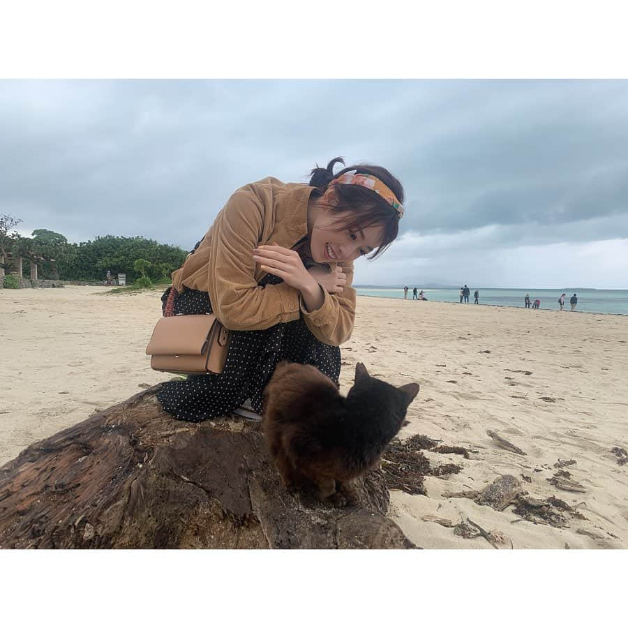 高野桃子さんのインスタグラム写真 - (高野桃子Instagram)「島のお猫様🐈🏝 今年いろいろな場所で猫ちゃんにご縁があります、今年子年なのになぁ  #竹富島」5月13日 21時31分 - takano_sd