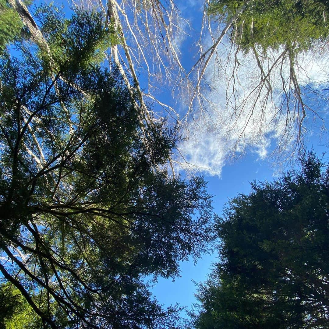 佐藤美樹さんのインスタグラム写真 - (佐藤美樹Instagram)「去年登った燕岳🗻早く山や海に行きたいなぁ。皆さんは世の中が落ち着いたら、何処にお出かけしたいですか？ ━…‥・‥…━…‥・‥…━…‥・‥ #お出かけしたい  #でも今は我慢  #ステイホーム  #早くコロナが終息しますように  #おうち時間  #思い出ぽろぽろ  #ついつい  #過去の写真  #山ガール  #登山  #自然が好き  #自然  #長野  #燕岳  #佐藤美樹」5月13日 21時32分 - satomiki0224