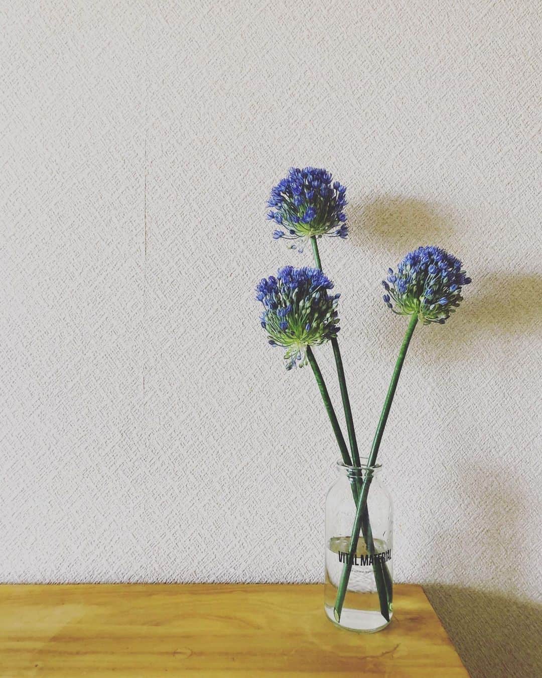 EMILY/BLUEさんのインスタグラム写真 - (EMILY/BLUEInstagram)「癒されるるる〜😌💙 #おうち時間 #癒し #お花 #お花のある暮らし #stayhome」5月13日 21時37分 - emilybluejewelry0220