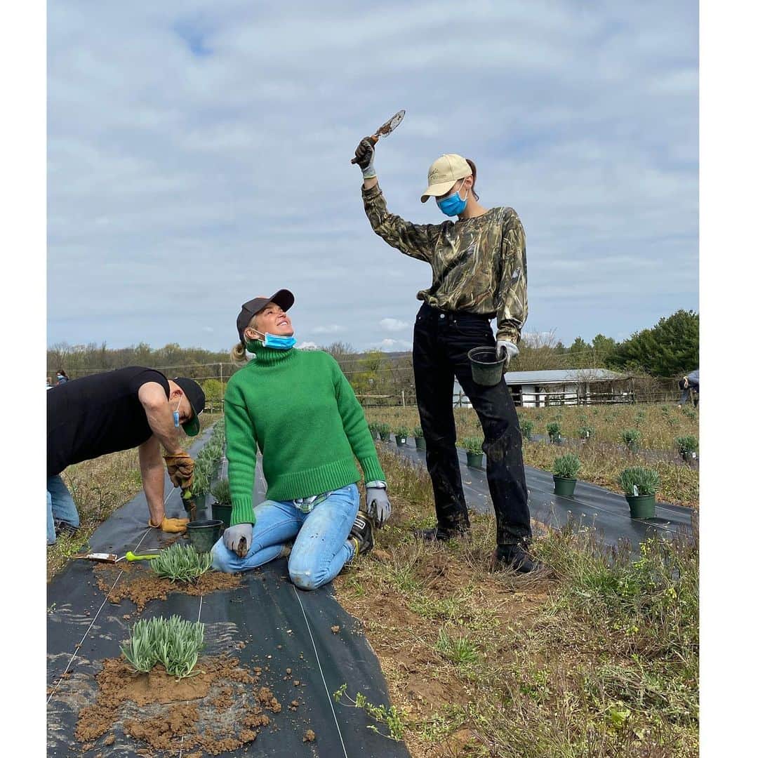 ヨランダ・ハディッドさんのインスタグラム写真 - (ヨランダ・ハディッドInstagram)「❤️3,000 Lavender Planted ✅ #FarmLife #TeamWorkDreamWork」5月13日 21時47分 - yolanda.hadid