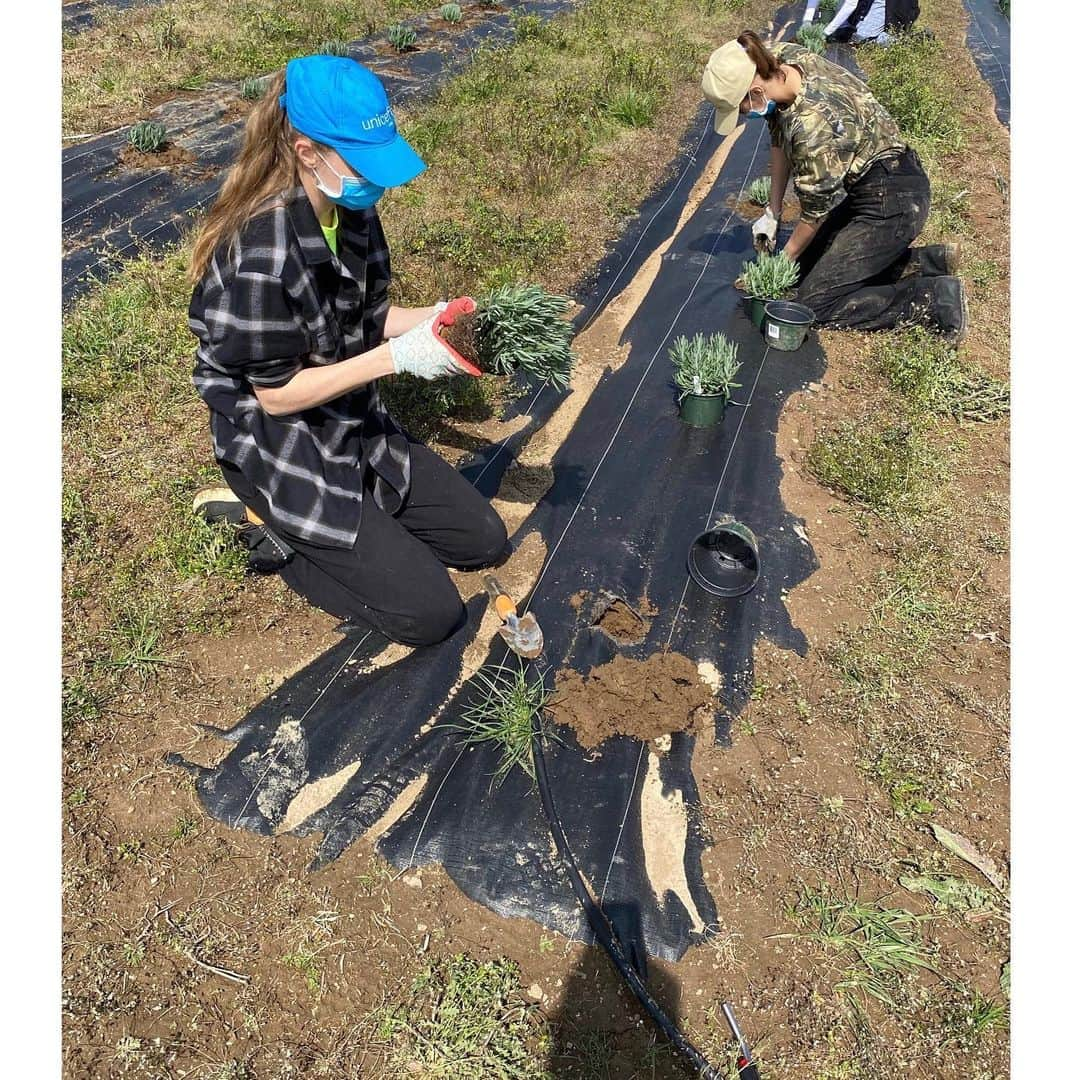 ヨランダ・ハディッドさんのインスタグラム写真 - (ヨランダ・ハディッドInstagram)「❤️3,000 Lavender Planted ✅ #FarmLife #TeamWorkDreamWork」5月13日 21時47分 - yolanda.hadid