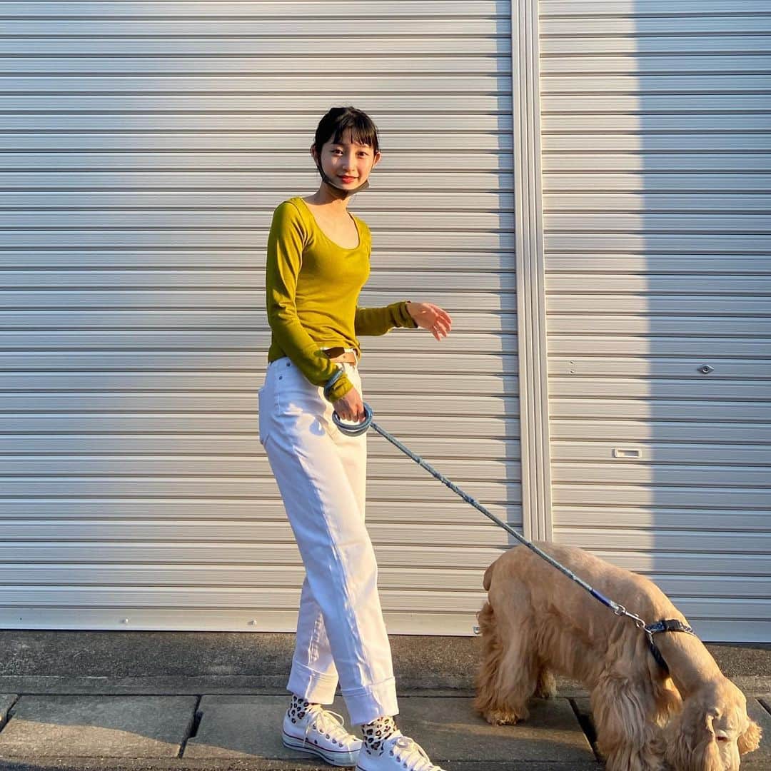 のインスタグラム：「いつかの散歩コーデ🐶 めちゃめちゃ可愛い愛犬茶太君です。 犬種的にも散歩はさせてあげたほうがいいので、なるべくお散歩は人混みを避けて行ってあげています。いつもお散歩るんるんで可愛いです。 #イングリッシュコッカースパニエル  #englishcockerspaniel #我が子が1番」
