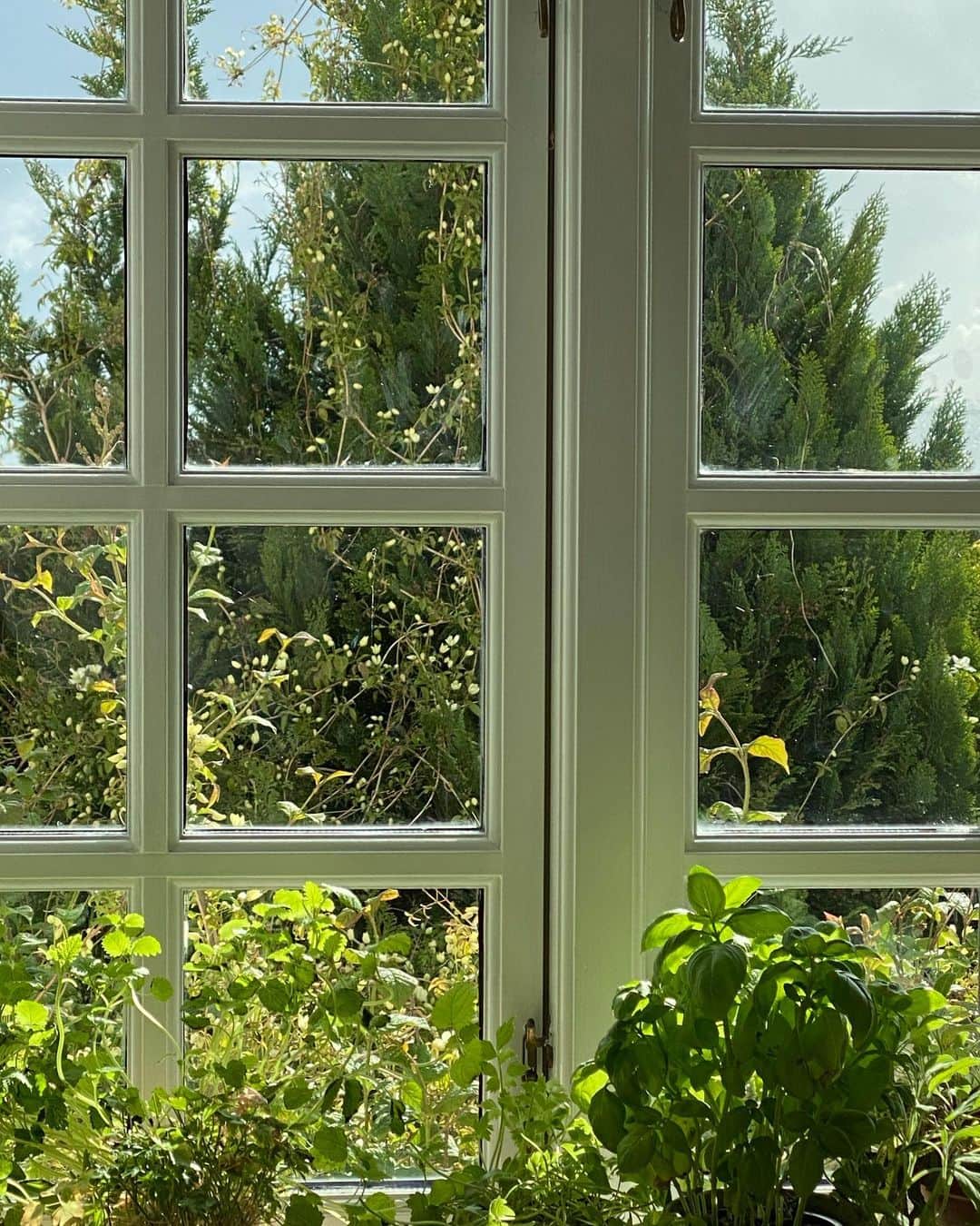 Mathilde Goehlerのインスタグラム：「Kitchen herbs and view」