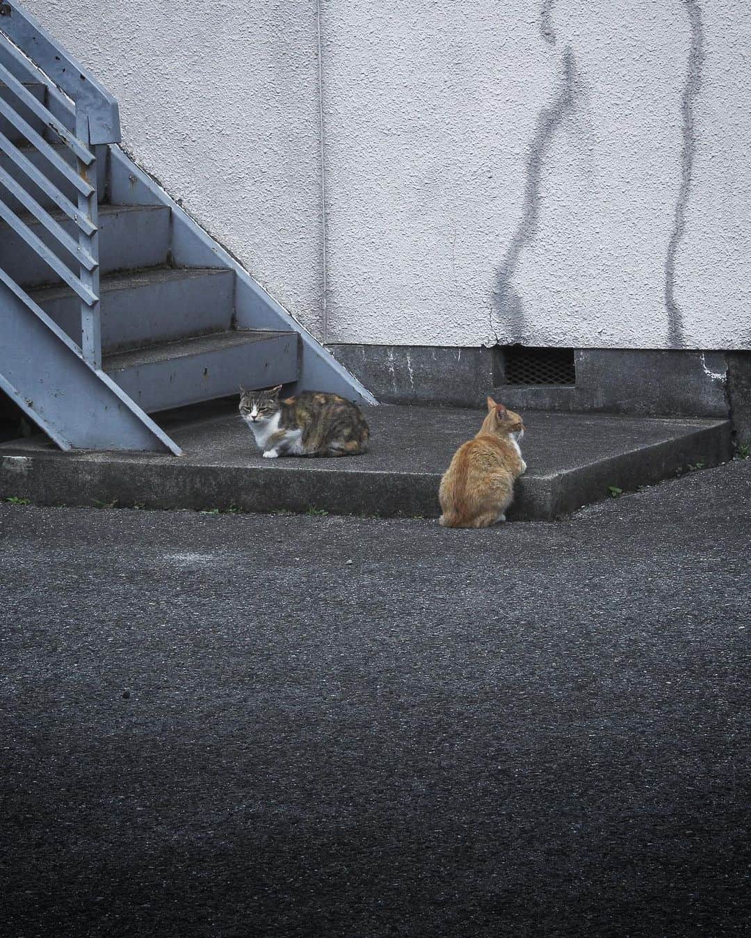 のインスタグラム：「. social distancing . #ソーシャルディスタンス」
