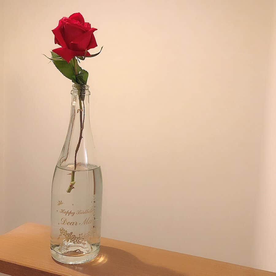 安原舞さんのインスタグラム写真 - (安原舞Instagram)「﻿ 🌹﻿ ﻿ ﻿ 誕生日にめっちゃ可愛いシャンパンを﻿ 地元の仲いい友達からもらったので﻿ 花瓶にしました🥂🏹🤍﻿ ﻿ ﻿ 日にちまで入ってて素敵〜🥺✨﻿ ﻿ ﻿」5月13日 22時30分 - mai_yasuhara