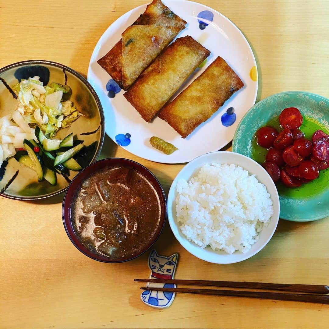 ただすけのインスタグラム：「ウルトラ時短春巻きの冷凍ストックを使用。 ナンプラーからし、ナイスですね〜☺️」