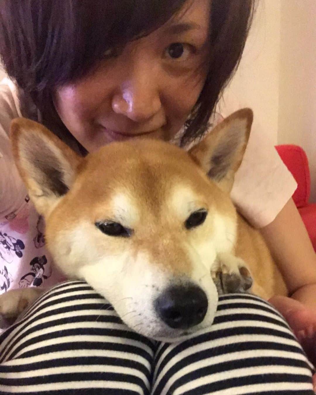 高橋みゆきのインスタグラム：「クラ吉です❣️笑🐶 #こんくら #ありがとう #でも悩みは解決しないw #イケメン🐶💕 #溺愛」